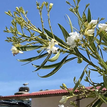 Herdade Dos Salgados Do Fialho Фару Экстерьер фото
