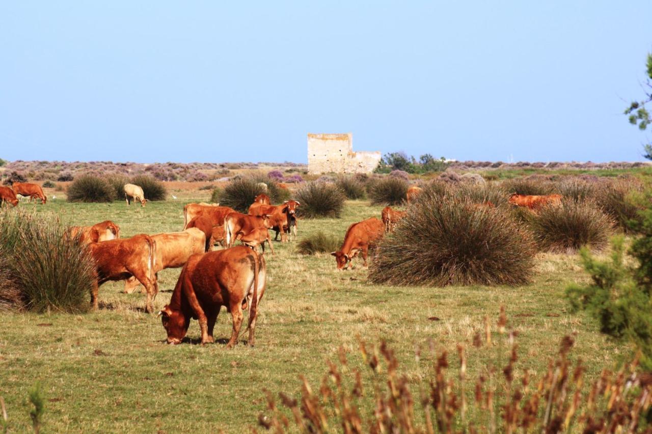 Herdade Dos Salgados Do Fialho Фару Экстерьер фото
