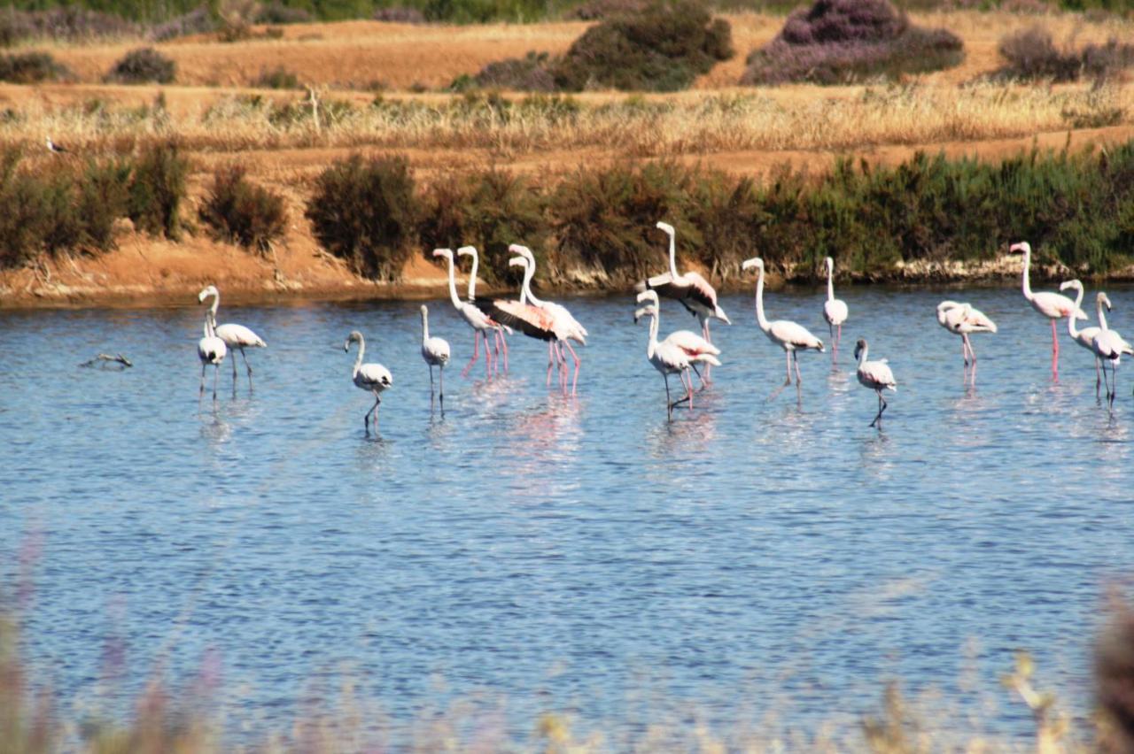 Herdade Dos Salgados Do Fialho Фару Экстерьер фото