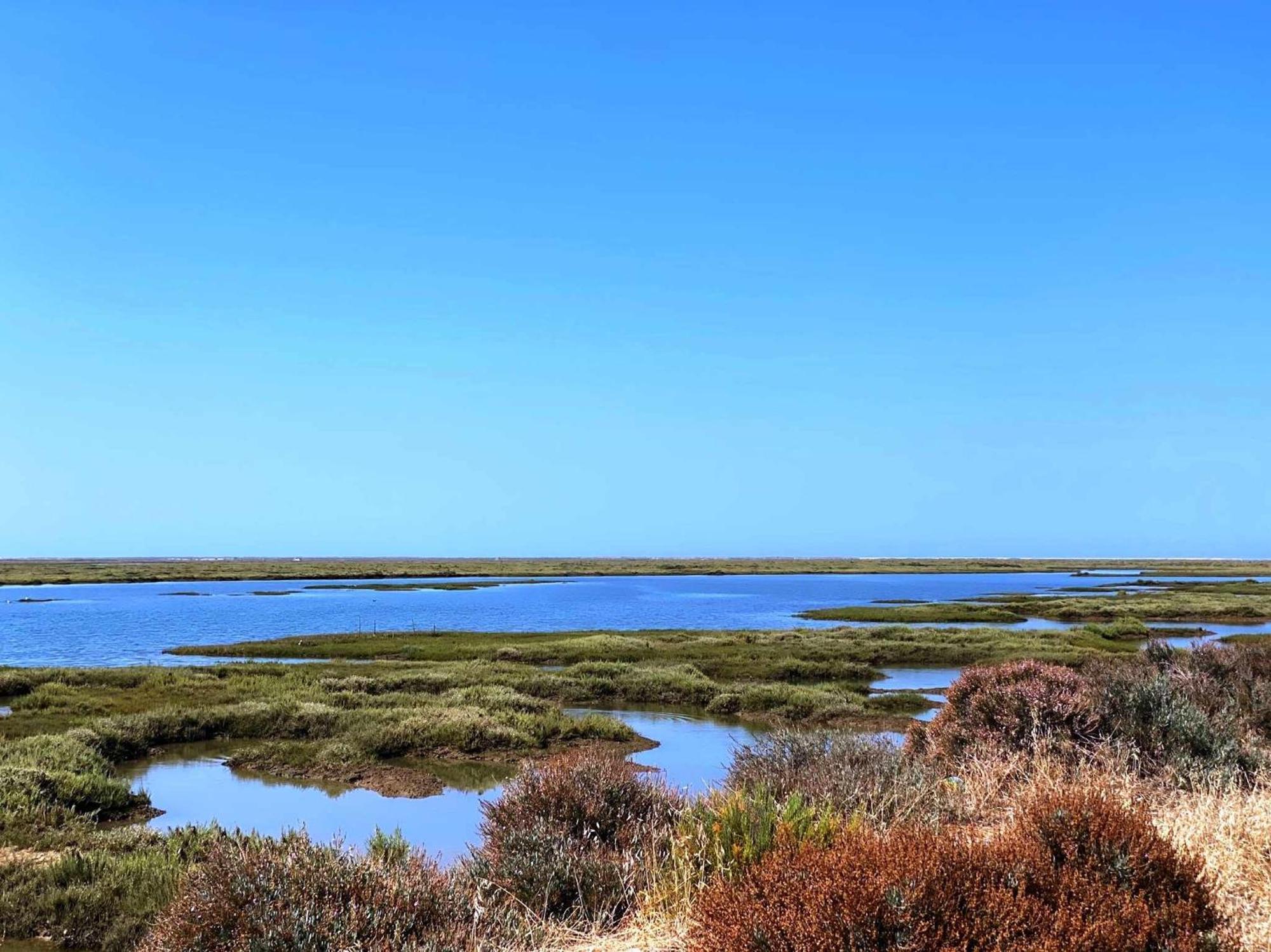 Herdade Dos Salgados Do Fialho Фару Экстерьер фото